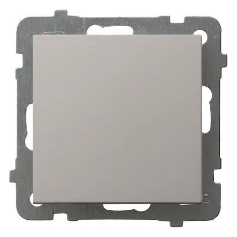 Interruptor Ospel lp-1g/m/82 10AX 250V empotrable