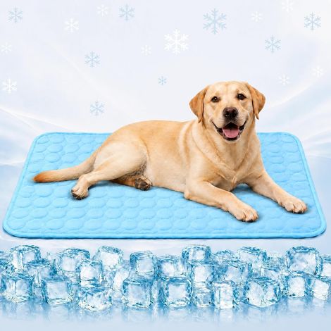 Tapis rafraîchissant pour chiens et chats (XL, 100 x 70 cm) - Auto-rafraîchissant sans gel - Respirant - Lavable et antidérapant - Pour la maison, la voiture et les voyages - Durable et résistant aux (1/5)