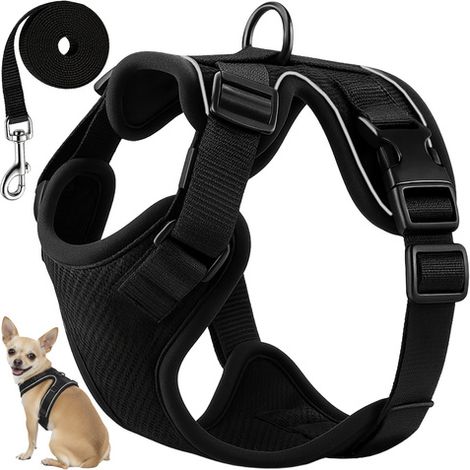 Filiyano-Harnais réglable sans pression pour petits chiens et chats XS avec bandes réfléchissantes et laisse de 150 cm