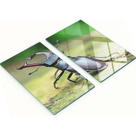 Tablas de vidrio decorativas multifuncionales para cocina con dise帽o de escarabajo, 2x30x52 cm.