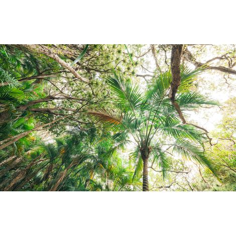 Papier peint panoramique naturel Touche la Jungle (1/4)