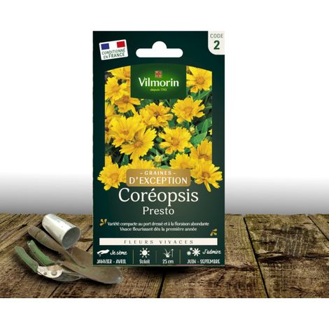 Graines de Coreopsis Presto - Vilmorin/Sachet