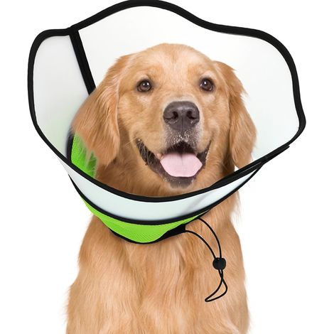 Collare di recupero per contusione ossea di tipo S: un collare protettivo morbido per cani dopo un intervento chirurgico, adatto a cani di piccola e media taglia. (1/5)
