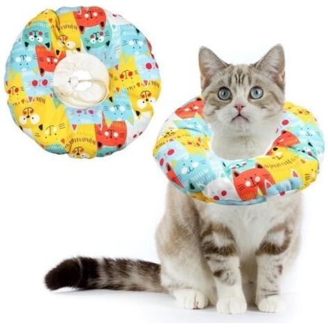 Collerette de Protection pour chiens et chats - Collier de Convalescence pour Chat, Collier de Rcupration (1/4)