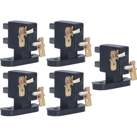 Lot de 10 balais de charbon pour générateur GX160 : connexion facile et pratique, assemblage robuste, durable et fiable. (1/5)