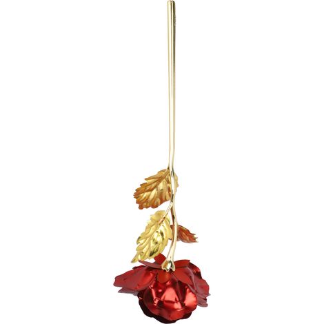 Cadeau de Saint-Valentin pour petite amie, épouse, meilleure amie, cadeau d'anniversaire pour fille, romantique et pratique, rose à la feuille d'or, emballage rouge de luxe (1/5)