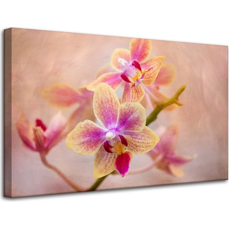 Stampa su tela Botanica Fiore Orchidea 80x50 cm