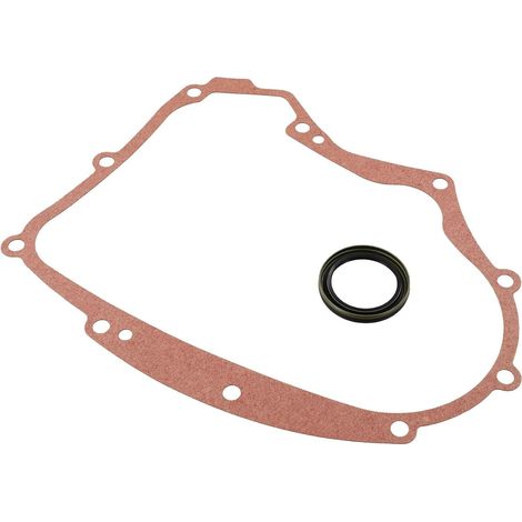 Kit Joint Carter pour Réparation Auto et pour moto pour robuste Remplace 594195, 690945, 697227, compatible modèles 40F777, 40G777, 40H777 (1/5)