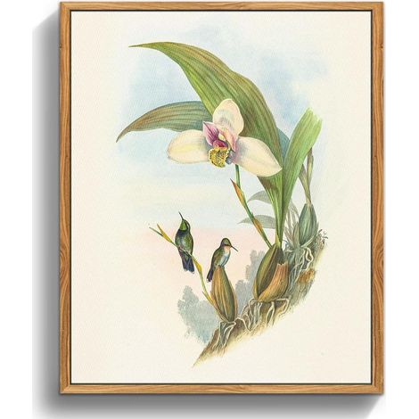 Vintage Vogel Leinwand Bilder 30x40 cm mit Holzrahmen - Wandbilder Wohnzimmer (1/5)