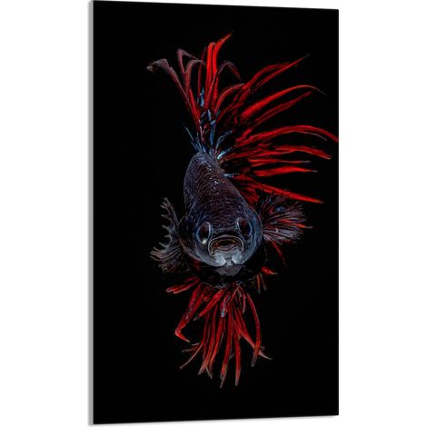 Tabla de cortar de vidrio 30x52 Pescado (1/5)