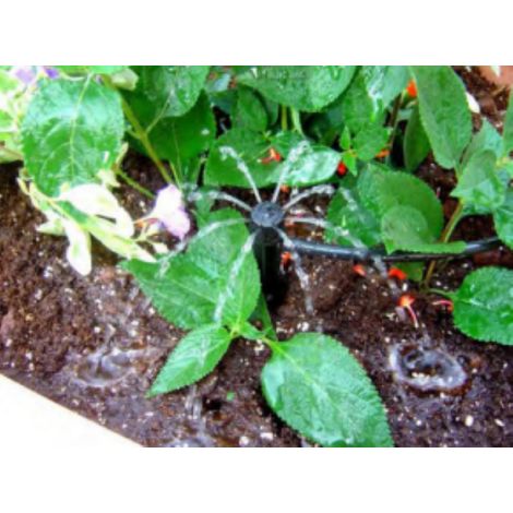 Bubbler spider 360 confezione 5 pezzi rain 695.0431100