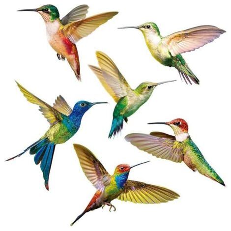 6 Pièces Autocollants Colibri,Accroche de Fenêtre d'Oiseau,Stickers Anti-Collision pour Vitres,Simplicité Modèle Colibri PVC Sticker Mural Oiseaux pour Fenêtre,Salon,Bureau (1/5)