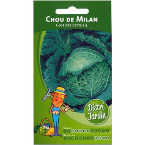Sachet de graines de chou fleur de Milan