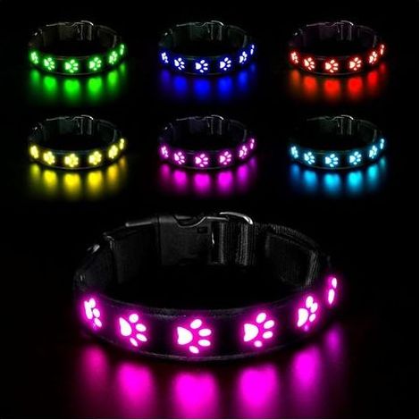 Collier lumineux pour chien étanche – Rechargeable USB – Visibilité 500m – 7 modes d'éclairage – Taille M : 40 à 50 cm-Chrom (1/5)
