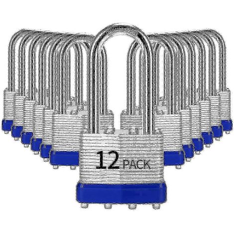Lot de 12 cadenas en acier laminé à clé identique anse longue (1-9/16' 40 mm) (1/5)