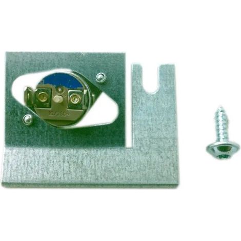 Microinterruttore