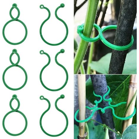 50pcs jardin vigne cerclage Clips plante groupé boucle porte-anneau tomate jardin plante support outil jardin décor accessoires (1/5)
