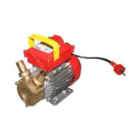 POMPE DE TRANSFERT ROVER Dimensions : Hp 0,8 - 550 W - Racc. 25