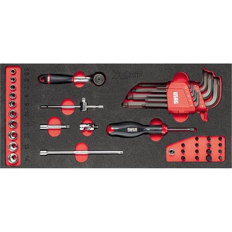 Modulo Spugna Usag 519 M 613AEAX Set Chiavi Bussole 41 Pezzi