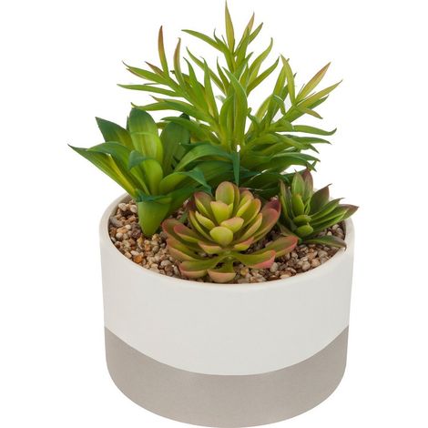 Plante artificielle en pot en céramique de 5 cm pour salle de bain et balcon - Atmosphera (1/3)