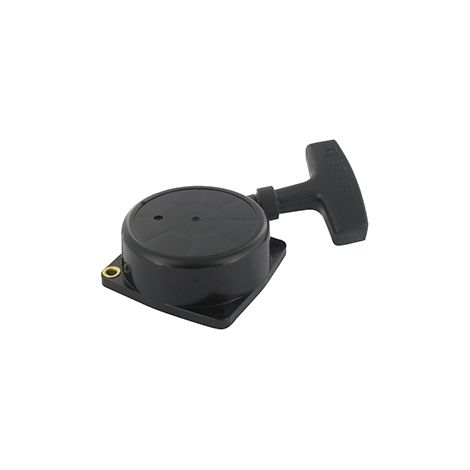 Motor echo pb-650/pb-655 anpassbares Ersatzteil