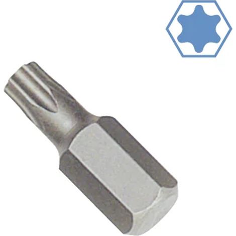 Embout hexagonal T40, Hex 10mm, Acier S2