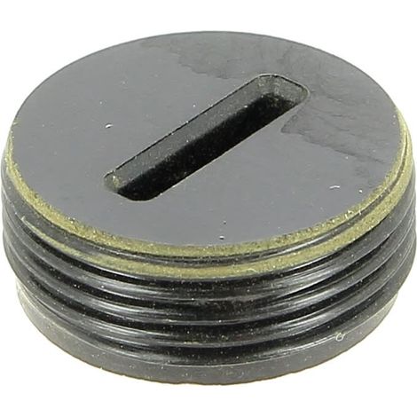 Bouchon de charbon pour ponceuse Ryobi – Charbons moteur compatibles Be422, Ed450 – Performance optimisée pour travaux intensifs - 5131011313