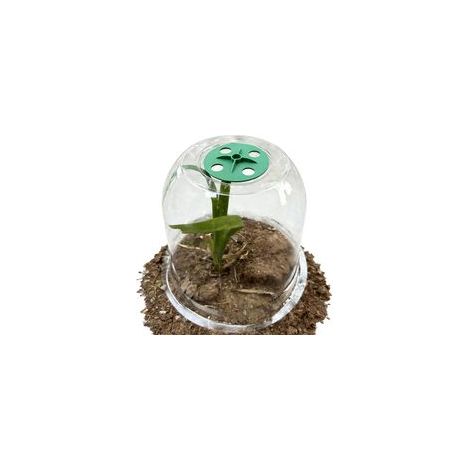Lot de 10 cloches de protection transparentes pour le jardinage, résistantes à l'eau et au givre, d'un diamètre de 30,5 cm, fabriquées dans un matériau durable, un outil de protection des plantes de q (1/5)