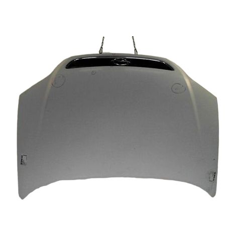 Capot OPEL Zafira 99-05 [PRODUIT D'OCCASION]♻️93170620 (1/4)