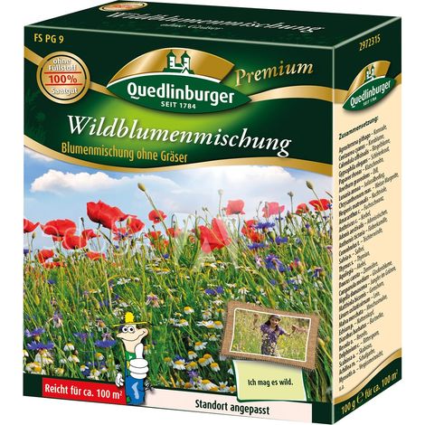 Quedlinburger Saatgut – Mélange de fleurs sauvages « FS Wildblumenmischung » sans graminées – Graines de fleurs, 80-100 cm, env. 100 m² (1/2)