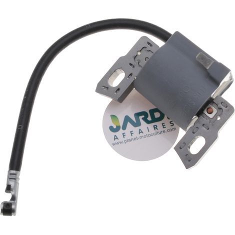 Bobine d'allumage compatible avec Briggs Stratton remplace 595291 (1/3)