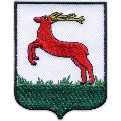 Parche con el escudo de armas de la ciudad de Pila - Reverso magnético - Parche/Insignia/Emblema bordado