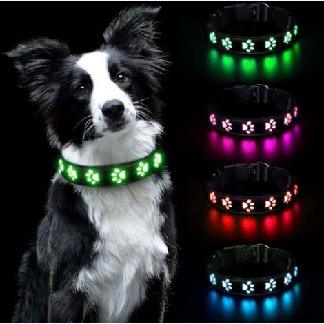 Pair Leuchtendes Hundehalsband, wiederaufladbar und wasserdicht, verstellbares Halsband für kleine/mittelgroße/große Hunde (Grün, S)
