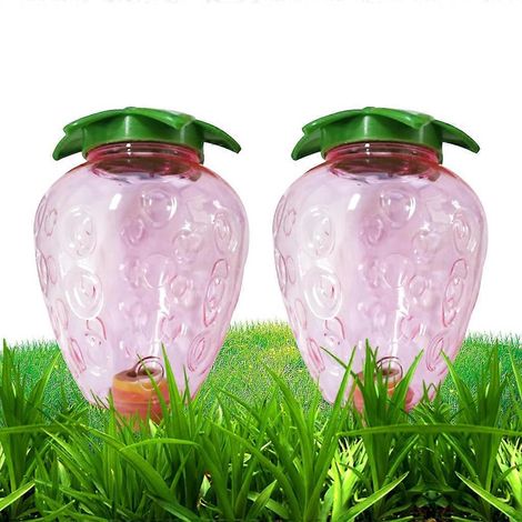 Lot de 2 tuteurs à arrosage automatique pour plantes d'intérieur, en forme de fraisier. (1/4)