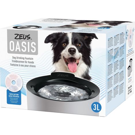 Fuente para perros Zeus Oasis