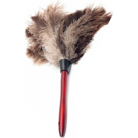Brosse à plumeau en plumes d'autruche naturelles avec manche en bois, outil de nettoyage pratique pour la maison et les meubles (1/5)
