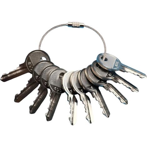 Lot de 10 clés d'allumage compatibles avec 455 - Compatible avec Skyjack KONE Otis Genie Terex Snorkel Vermeer Escalator Scissor Lift (1/5)