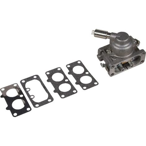 Carburatore BRIGGS ET STRATTON 792295 (1/2)