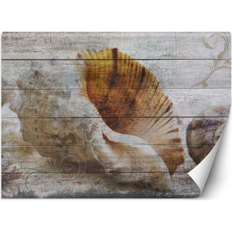 Carta Da Parati, Conchiglie Legno Mare Vintage - 200x140 (1/5)