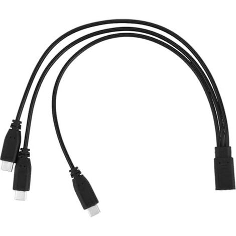 USB-C con puerto dividido: carga y transferencia de datos 3 en 1. Cable de 32 cm de largo. (1/5)