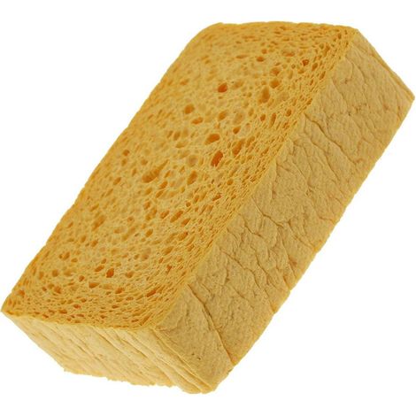 Eponge