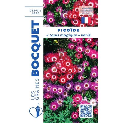 Ficoïde Tapis magique en mélange - 1g