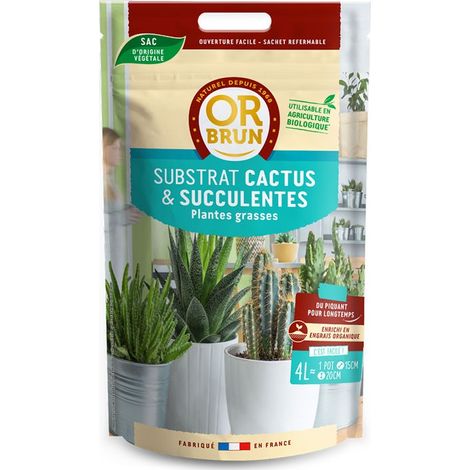 Terreau - 4L - Cactées - Or Brun (1/3)