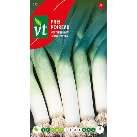 Poireau Géant D'Hiver - Ca. 5 gr (Livraison Gratuite) (1/2)
