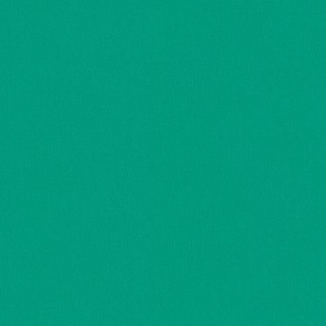 Papiers peints unis effet textile | Papier peint vert lavable idéal pour chambre adulte | Tapisserie murale vert vif intissée - 10,05 x 0,53 m (1/5)