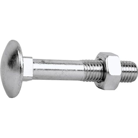 Schrauben cofan din-603/934 glatter Kopf quadratischer Hals 10 Stk