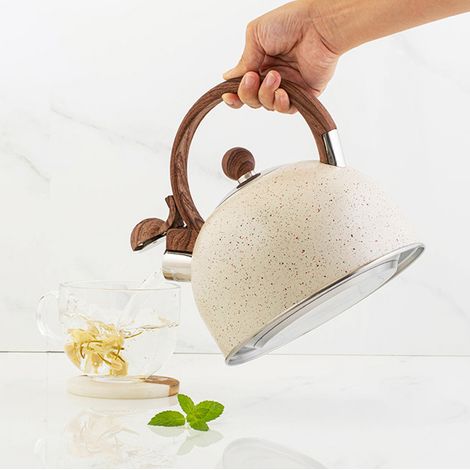 Bouilloire à sifflet de 2,5 L en acier inoxydable de qualité alimentaire, idéale pour la cuisine et l'hôtellerie. (1/5)