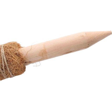 Lot de 2 tiges en fibre de coco vertes 50cm pour plantes grimpantes, support de poteau pour lierre (1/5)