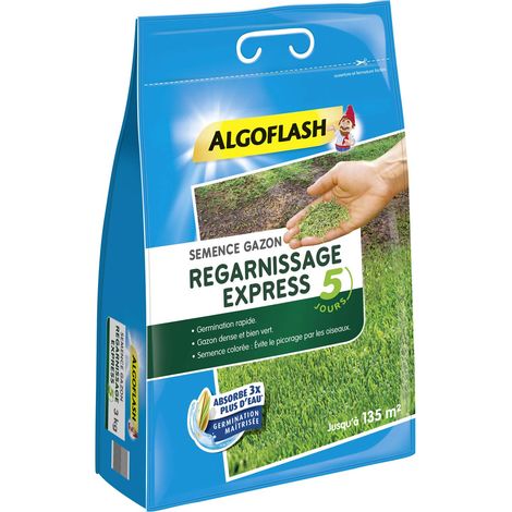 Semences Gazon Regarnissage Express 5 jours 3 kg (1/4)
