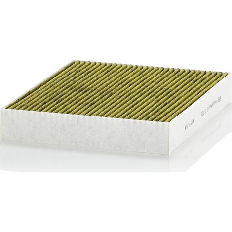 INNENRAUMFILTER FP28009 MANN